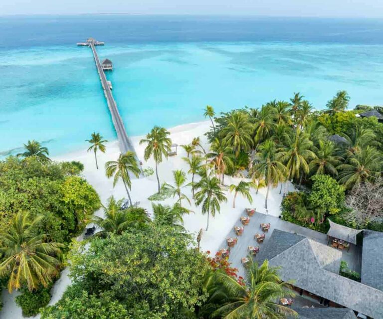 Vegan Maldives is really a thing and you&#8217;re going to love it