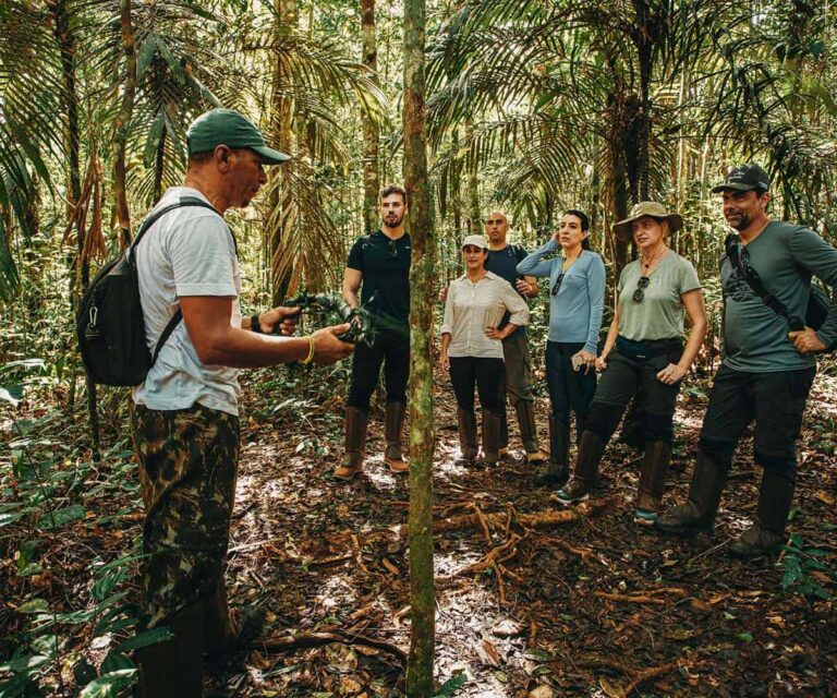 6 of the best luxury stays in the Amazon